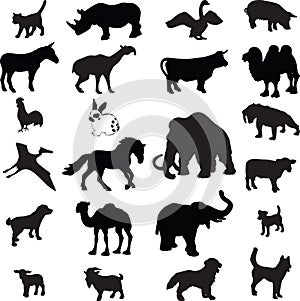 Animal silhouette