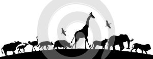 Animal silhoutte,African animals,Illustration of safari animals. photo