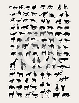 Animal Silhouette Collection