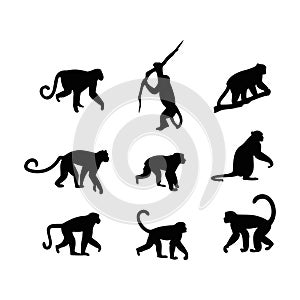 animal silhouette monkey pack