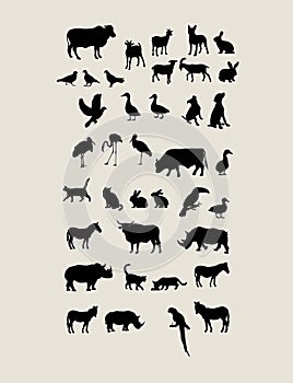 Animal Silhouettes