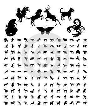 Animal Silhouettes Bundle