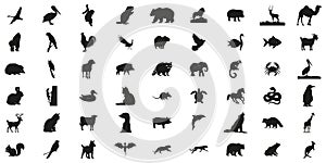 Animal Silhouettes In Solid Icon Set. Wildlife Diversity And Species Representation Collection. Environmental And