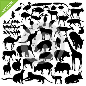 Animal silhouettes vector