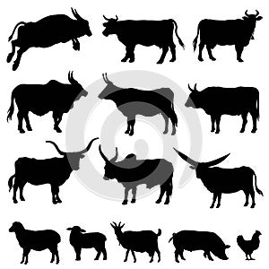 Animal silhouettes on a white background. Vector simple illustration