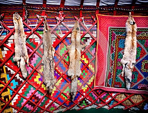 Animal skin in Kazakh yurt interior