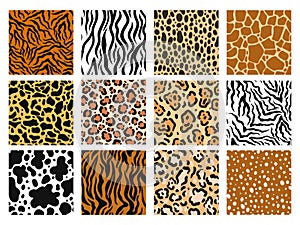 Animal skin pattern. Zoo prints of mammals fur, safari material and jaguar fashion background. Zebra, giraffe and tiger