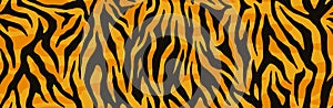 Animal skin print, seamless texture. Tiger fur, orange stripes pattern. Safari repeating background. Vector