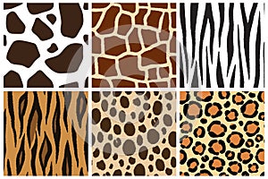 Animal skin. Seamless patterns for design. Cow, giraffe, zebra, tiger, cheetah, leopard