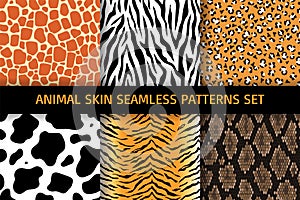 Animal skin seamless patterns set.Collection of prints.Use for wallpaper, wrapping paper, fabric.Vector illustration.