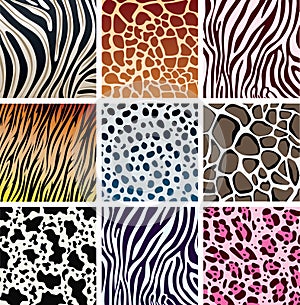 Animal skin textures