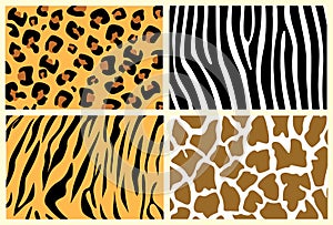 Animal skins photo