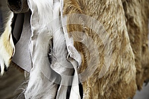 Animal skins fur