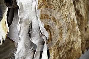 Animal skins fur photo