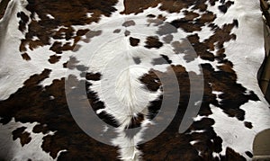 Animal skins fur photo