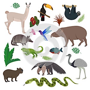 Animal in South America vector wild animalistic mammal character capybara tapir toucan in southern wildlife illustration