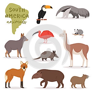 Animal in South America vector wild animalistic mammal character capybara tapir toucan in southern wildlife illustration