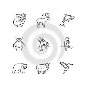 Animal species pixel perfect linear icons set