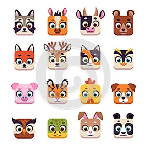 Animal square face. Cute cartoon UI icons with funny muzzles, wildlife and domestic heads. Kawaii raccoon, bear, tiger