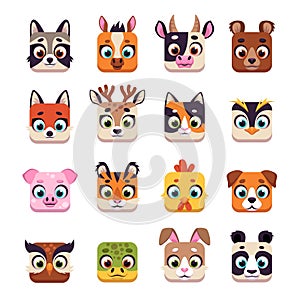 Animal square face. Cute cartoon UI icons with funny muzzles, wildlife and domestic heads. Kawaii raccoon, bear, tiger and rabbit