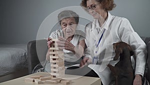 Animal therapy, care elderly residents suffering from dementia and Alzheimer disease. Senior woman and doctor doing