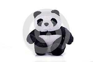 Animal toy : Panda bear doll isolated on white background