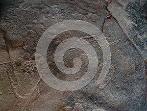 Animal tracks and footprint - Cave paintings and petroglyphs at Tamezguida in Tassili nAjjer national park, Algeria
