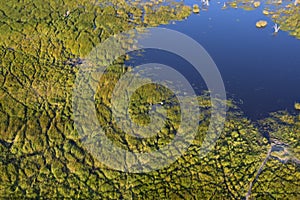 Animal tracks in marshes around a waterpool in the Okavango Delta