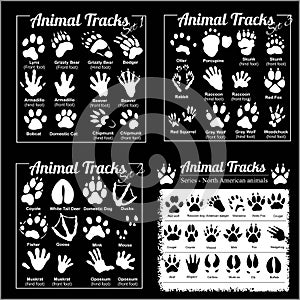 Animal Tracks - North American animals