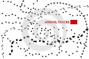 Animal Tracks, Vector