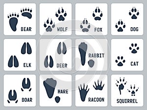 Animal tracks vector icons