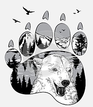 Animal trail. Bear in the wilderness, double exposure for your design, wildlife concept