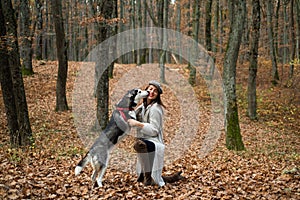 Animal training. Pedigree dog concept. Best friends. Girl enjoy walk with husky dog. Siberian husky favorite pet. Animal