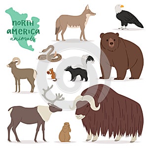 Animal vector animalistic character in forest bear deer elk in America wildlife illustration set of American predator