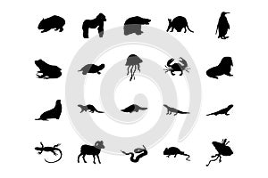 Animal Vector Icons 4