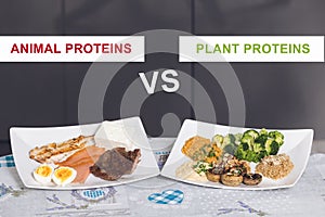 Animal versus plant proteins