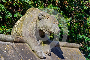 Animal wall of Bute park at Welsh capital Cardiff, UK