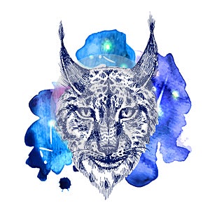 Animal on watercolor space