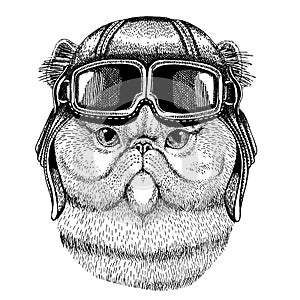 Animal wearing aviator helmet with glasses. Vector picture. Persian cat Cute Fuzzy Hand drawn image for tattoo, emblem