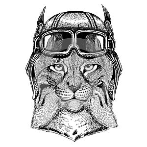 Animal wearing aviator helmet with glasses. Vector picture. Wild cat Lynx Bobcat Trot Hand drawn image for tattoo