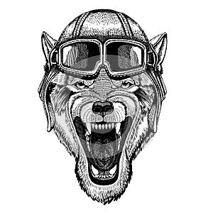 Animal wearing aviator helmet with glasses. Vector picture. Wolf Dog Wild animal Hand drawn illustration for tattoo