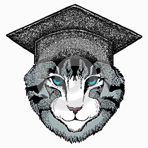 Cat head. Square academic cap, graduate cap, cap, mortarboard. Vector animal portrait. Face of kitten.