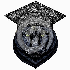 Black panther. Square academic cap, graduate cap, cap, mortarboard. Wild cat portrait.