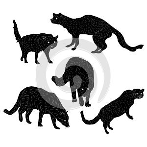 Animal Wildlife African Civet Silhouette Set Ver2