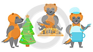 Animal Wolverines Decorates The Christmas, Cook With A Saucepan And A Ladle, Plays Chess