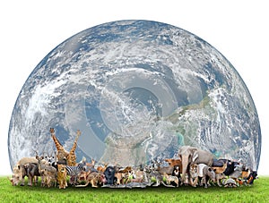 Animal of the world with planet earth photo