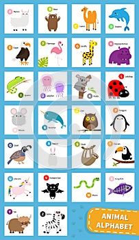 Animal zoo abc alphabet. Cute cartoon set. Baby children education. Alpaca llama bear dolphin camel eagle flamingo giraffe iguana