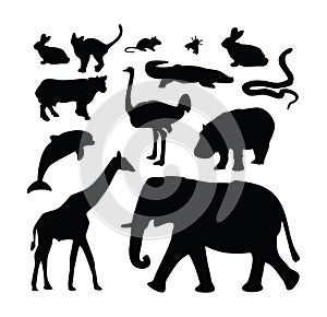 Animal zoo silhouette collection