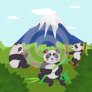 Animale near mountain, nature wildlife park, vector illustration. Panda bear character eat bamboo asian tree in china