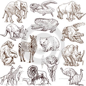 Animals 2